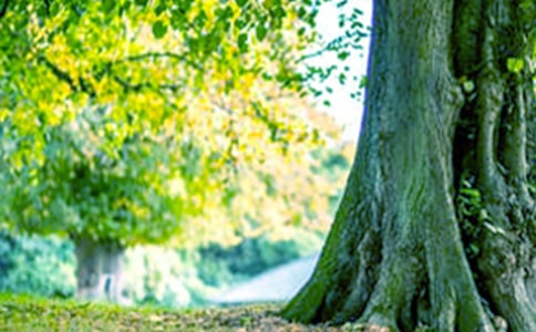 ����ѧ�̰������������ܣ���ѡ11ƪ��