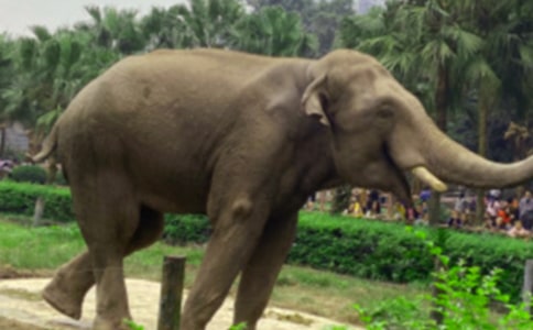 �������Ӵ����꡷���̰���ѡ