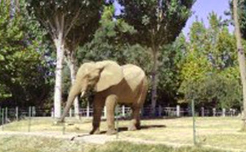 花格子大象教案