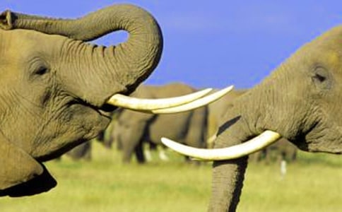 �������С���ӡ����̰�