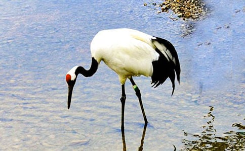 �������ĵ����ס��̰�15ƪ