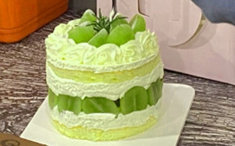 ������괴ҵ�ƻ���