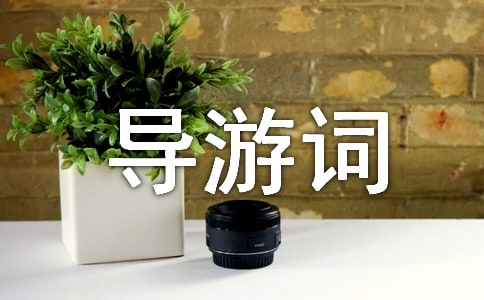 ���δʻ�ӭ��