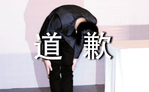 道歉送什么花最好