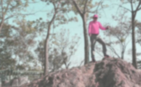 登山活动方案14篇