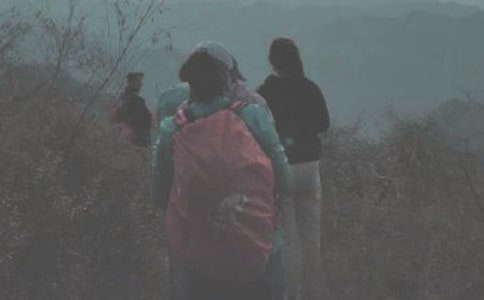 �����ɽ��ʶ