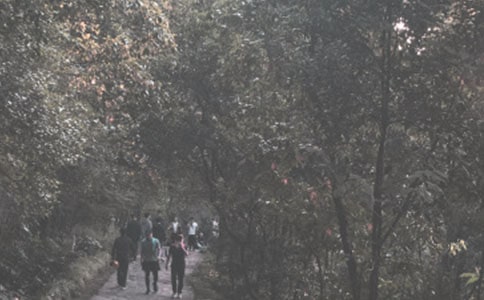 ������һ��ɽ��߻�����