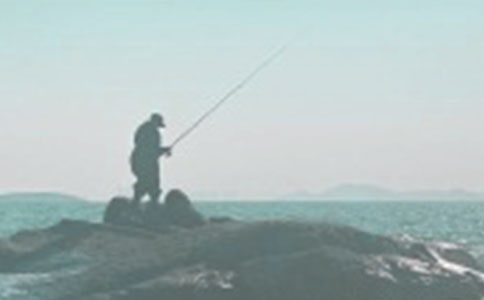 Сè������̰�