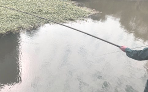 ����Сè������˼