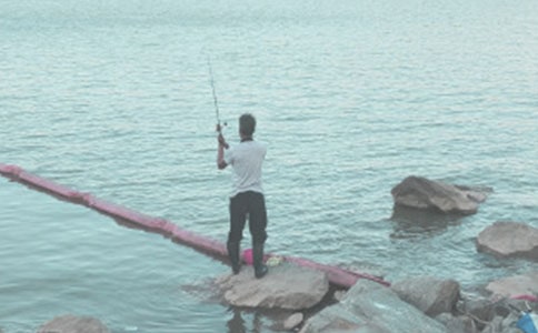 ��η����������