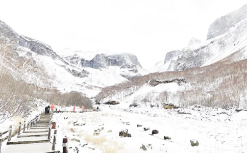 �ﶬ������С��ʶ