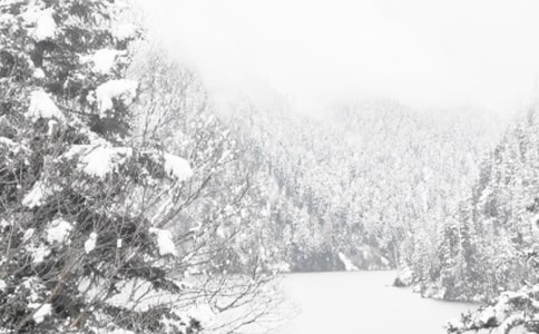 ����ʳƷ��ȫ��ʶ