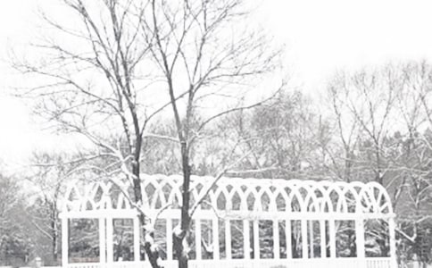 Сѧ����������С��ʶ