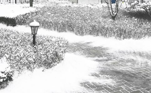 Сѧ��������ȫ��ʶ