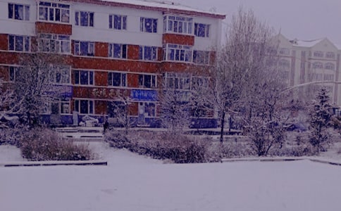 冬日送温暖活动方案15篇