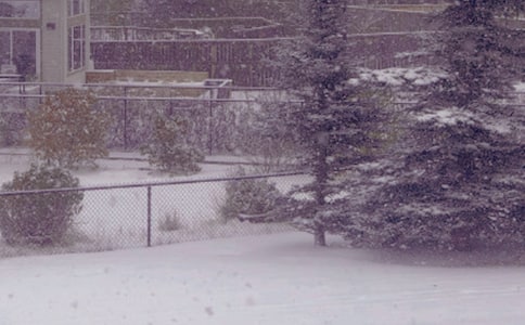 ���ջ�����Ե�9��ʳ��