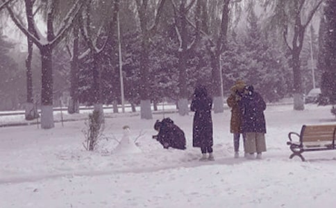 冬日送温暖活动方案(通用15篇)