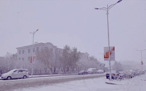 ����ѩ���̰�10ƪ