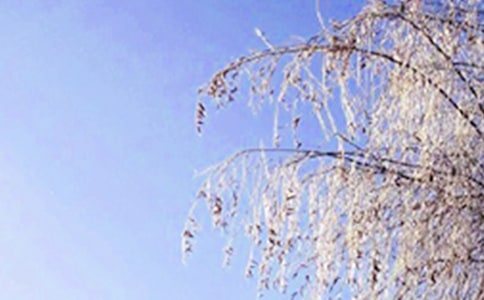 2021���������ů���İ�