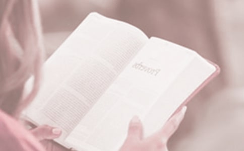 4��20�չ����½������������