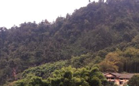 ����üɽ�¸衷�̰� 12ƪ