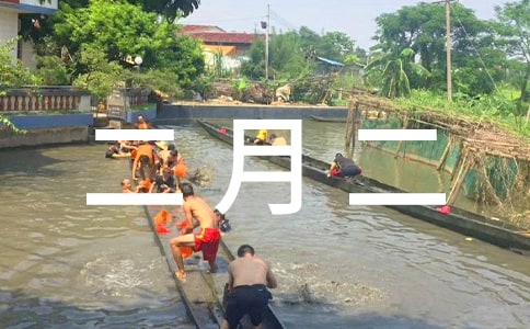 ���¶����������ѡ15ƪ��