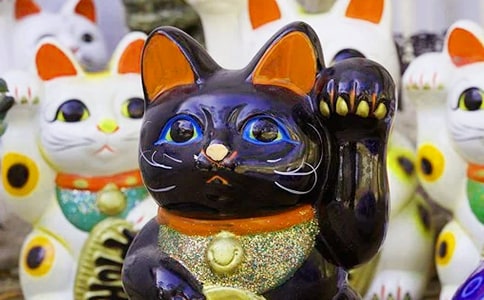 �÷�����֦��Ҷï�ļ���