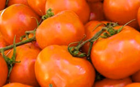 《番茄太阳》教案(15篇)