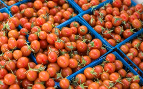 ӣ�ҷ�����ֲ����