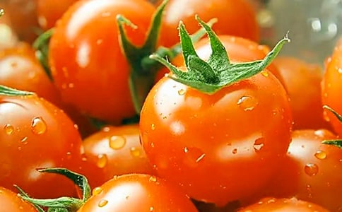 番茄的营养价值