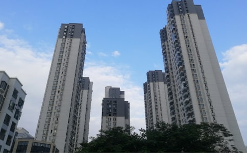 ����Э����