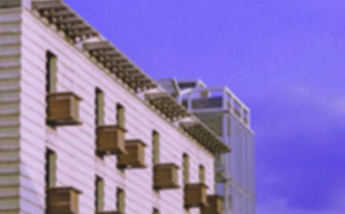 大班社会越造越好的房子教案