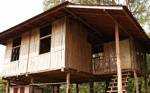 ���Ƿ��ӻ��˼��ͨ��10ƪ��