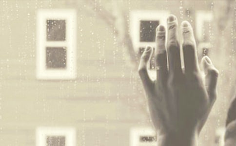 ���������¼