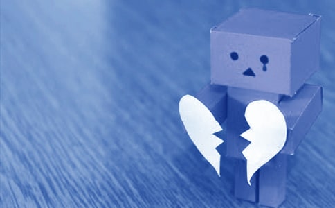 2024�꾫ѡ���ֵ���¼���65��