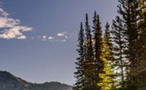 风景区卫生管理制度