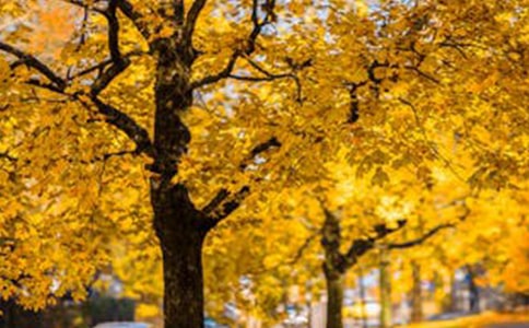 生态风景区宣传策划方案