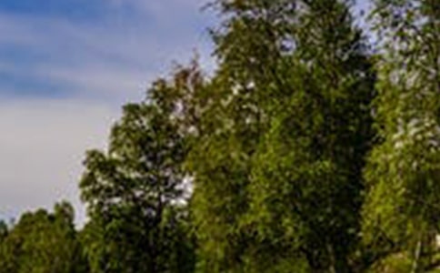 �����羰������ʫ��6ƪ