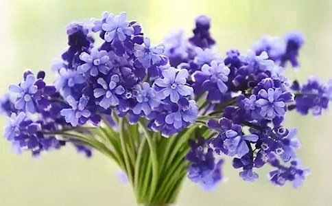 ���ܽ��ܷ����ӻ���