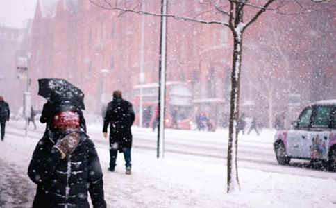 ������ѩ��Ӧ��Ԥ��