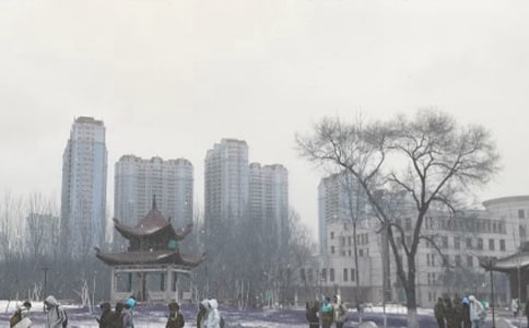 ����ѩӦ��Ԥ��15ƪ