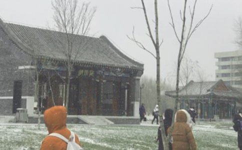 ������ѩӦ��Ԥ��15ƪ