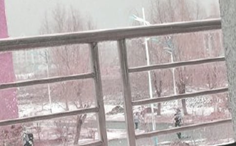 ������������ѩ�Ĵ�ʩ