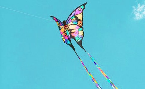 ���ݽڻ����(����15ƪ)