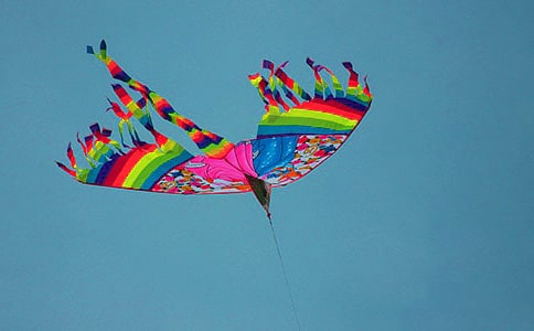 �����ݽ̰�