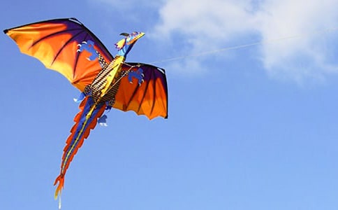 ֽ���ͷ��ݽ�ѧ��˼