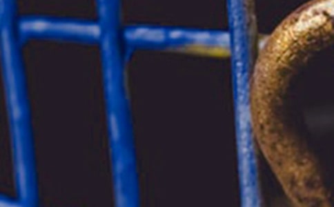 ���������챨��_������ҵ���챨��_�ֳ������߷ñ���