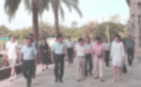 ���̾�ί���鷶��