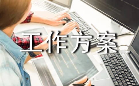 整改事项工作方案