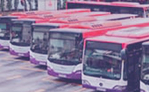 公共汽车活动反思